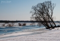 036_Biebrza - marzec 2013